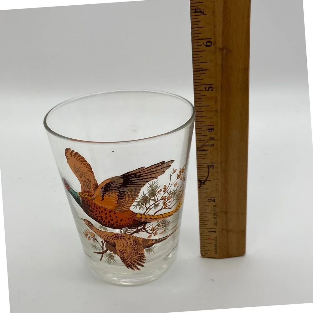 Vintage Pheasant Game Bird Drinking Glass Set of 2 Clear Tapered MCM Barware